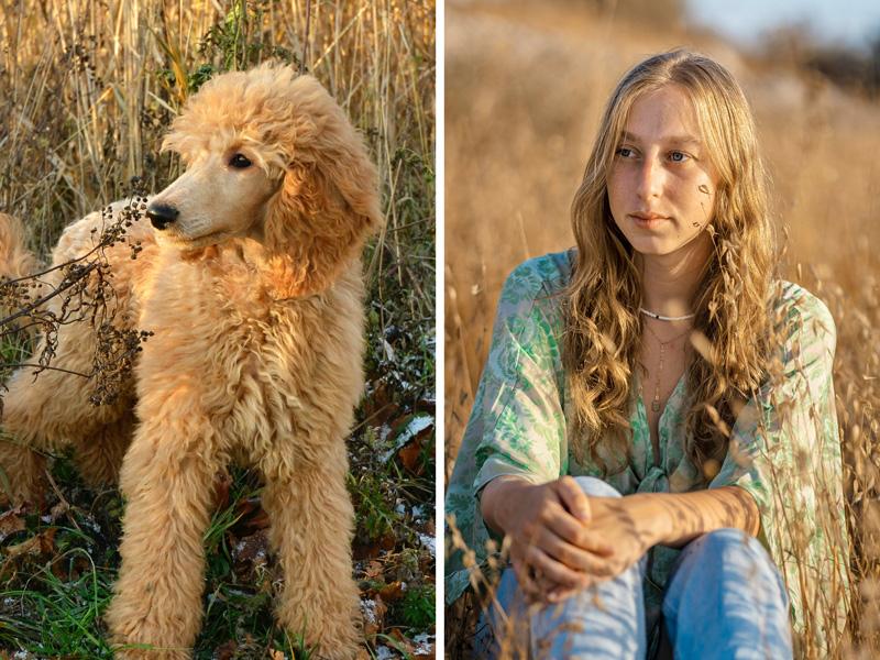 Welche Hunderasse passt zu mir